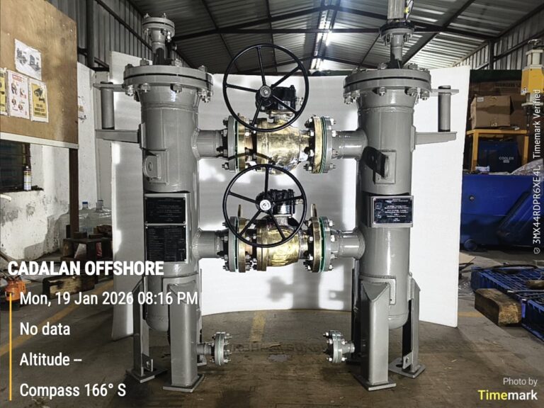 Duplex Basket Strainer
