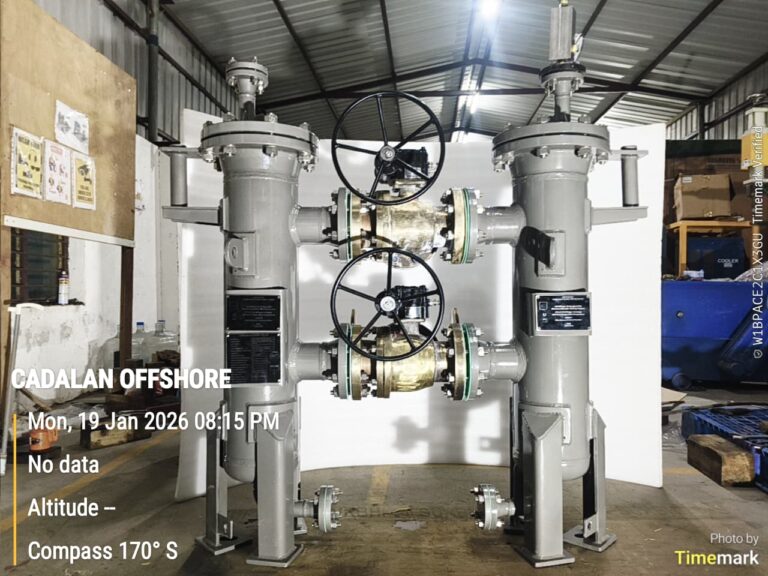 Duplex Basket Strainer